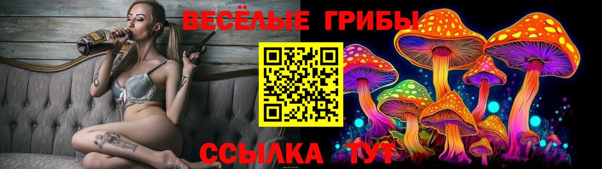 Саратов  Псилоцибиновые грибы Psilocybine cubensis  Галлюциногенные грибы ЛСД  Вход с VPN 